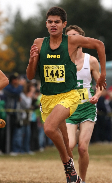 2009 CIF XC Boys D3-136.JPG - 2009 California CIF Cross Country Championships, Woodward Park, Fresno, California